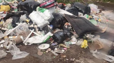 Oficialismo y oposición apuntaron contra los microbasurales y el servicio de Esur en La Plata