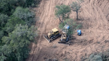 Siguen los desmontes ilegales de bosques nativos en el norte argentino y reclaman sanciones penales para los responsables