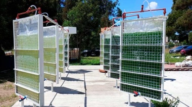 Investigadores argentinos desarrollan dispositivos que capturan dióxido de carbono y lo transforman en oxígeno para purificar el aire
