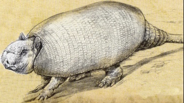 Expertos del Museo de La Plata identificaron "el registro humano más antiguo de Sudamérica" en el esqueleto de un gliptodonte