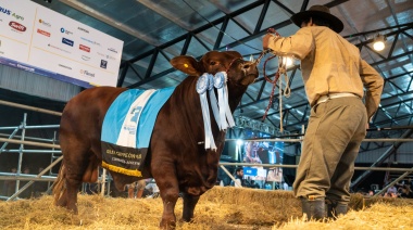 Ambientalistas y "antiespecistas" protestarán contra la exposición de la Rural y denuncian: "Los animales están siendo cosificados"