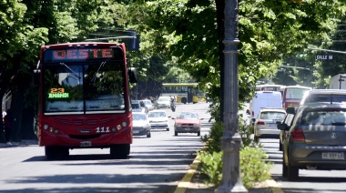 Así funcionarán los servicios municipales en La Plata durante el feriado del 17 de agosto