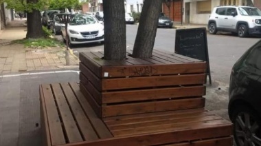 Una concejal de la oposición le pidió a la Comuna que retire los "ataúdes de árboles" ubicados frente a los bares de La Plata
