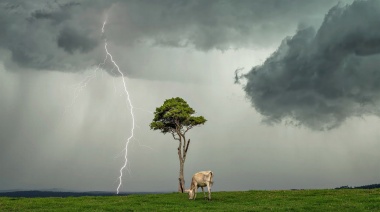 "Cualquier tormenta entre agosto y septiembre podría ser la de Santa Rosa", aclaró el Servicio Meteorológico Nacional