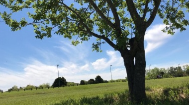Por el “Día Nacional del Árbol”, organizarán una capacitación sobre la especie Molle en el Parque Ecológico de La Plata