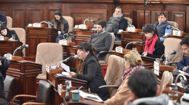 Con eje en el EMATUR y una iniciativa para declarar la educación como servicio esencial, vuelve a sesionar el Concejo Deliberante de La Plata