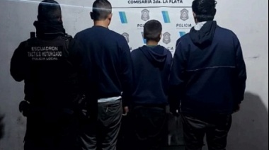 Continúa el robo de cables en La Plata: detuvieron a 3 personas en pleno centro de la ciudad