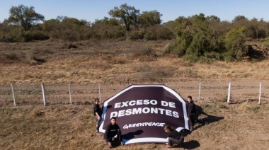 Greenpeace cuestionó la eliminación del fondo fiduciario que protegía los bosques nativos