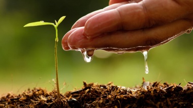 Invitan a un ciclo de conferencias sobre "Mitigación y Adaptación al Cambio Climático"