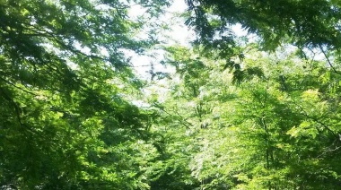 El Parque Ecológico de La Plata pondrá en marcha este sábado la propuesta “Explorando la naturaleza”