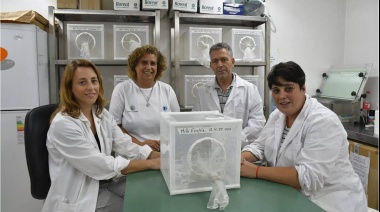 Esterilizan con radiación nuclear a mosquitos machos para luchar contra el dengue, y ya comenzaron en Ezeiza