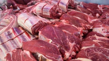 El consumo de carne vacuna ya es el más bajo de los últimos 28 años