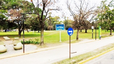 En La Plata salvaron un jacarandá de aproximadamente 30 años y ahora está plantado en el Parque San Martin