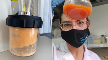 Un 30% de la cosecha de zanahorias es descartada, y trabajan para transformarlas en prebióticos de alto valor nutricional