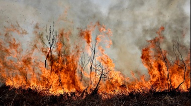 Crece el temor por posibles incendios en las islas del Delta