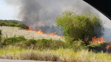 Un incendio en la Ruta 2 quemó seis hectáreas y generó un corte de luz en La Plata