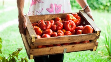 Llega una nueva edición de la Fiesta del Tomate Platense