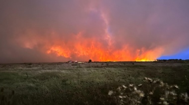 Lograron contener un incendio en la Reserva Natural de Punta Lara, cerca de la Autopista Buenos Aires - La Plata