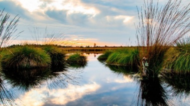 En La Plata inauguran exposiciones artísticas sobre el ambiente por el Día de los Humedales