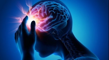 Investigadores de La Plata descubrieron derivados de ácidos grasos que podrían servir para tratar la epilepsia