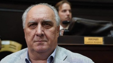 Borgini: "Las elecciones concurrentes serían muy difíciles de llevar adelante"