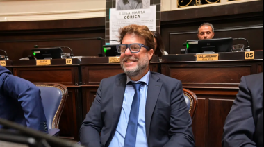 Según Diego Garciarena, el problema de la UCR es que funciona como "un conjunto de partidos provinciales"