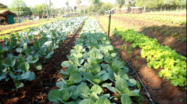 Dictarán un taller sobre huerta agroecológica en La Plata