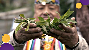 Realizarán en La Plata y la CABA dos jornadas "que ponen en diálogo la medicina mapuche con el derecho a la salud y el reconocimiento del pluralismo médico"