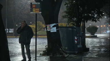 Películas de comedia, drama y terror llegan a la pantalla del Cine EcoSelect en La Plata