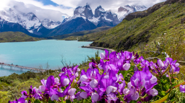 Chile: un paraíso para vacacionar, pero también para conocer a fondo y disfrutar de una experiencia inolvidable
