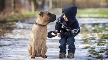 La ciencia ya no duda: los perros reaccionan emocionalmente ante el estado de ánimo de las personas