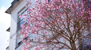 Presentaron un proyecto para reabrir el Vivero Municipal de La Plata