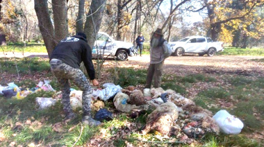 Hallaron más de 12 animales decapitados en el Parque Pereyra Iraola: "no es común que suceda en esta magnitud"