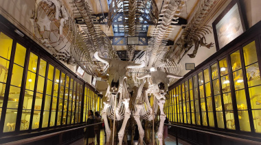 El Museo y el Planetario se suman a la agenda de las vacaciones de invierno en La Plata
