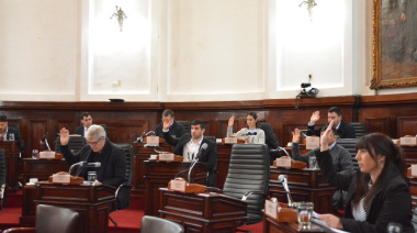 El Concejo Deliberante de La Plata votó la preocupación por la denuncia de coimas en el ANDIS