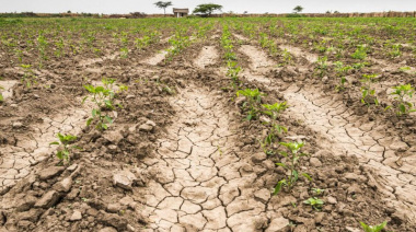 El gobierno nacional formalizó la emergencia agropecuaria en cuatro municipios bonaerenses afectados por las lluvias