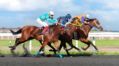 La Plata ya palpita el Gran Premio Dardo Rocha, que se correrá a las 19 hs. con entrada gratuita