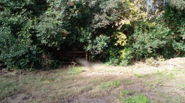 La Justicia de La Plata ordenó suspender el desmonte en el predio donde se construye Puerto Nizuc