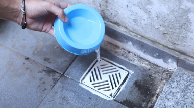 La Plata: piden reforzar el descacharrado en los hogares para prevenir el dengue