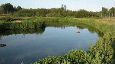 Investigadores midieron la contaminación por fármacos en ríos y arroyos de La Plata y otras zonas de la Provincia