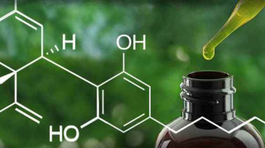 El CBD y su impacto en la gestión del estrés y el sueño: evidencia científica