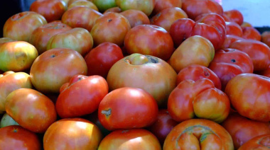 El próximo sábado 7 de febrero se llevará a cabo la 21° Fiesta del Tomate Platense