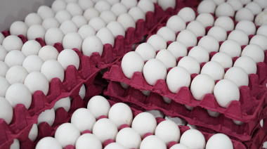 El Mercado Bonaerense Fijo La Plata presenta combos, ofertas y promociones