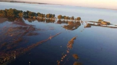 Prorrogaron la emergencia agropecuaria en Guaminí y Coronel Suárez