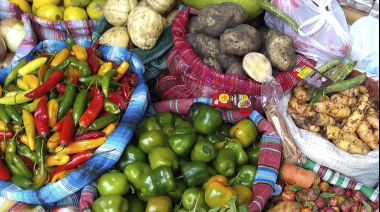 Un investigador de La Plata relevó el potencial medicinal y alimenticio de plantas locales