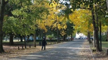 Hallaron un cuerpo sin vida en el Paseo del Bosque de La Plata