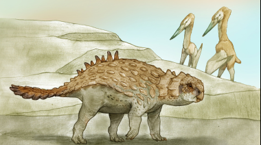 Un equipo de paleontología reconstruyó un mini dinosaurio que vivía en Argentina y tenía "un arma secreta"