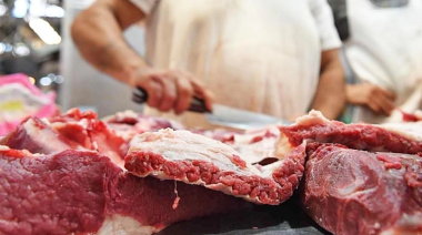 En La Plata la canasta alimentaria tuvo variación de un 4,7% respecto a enero y rubro carnicería liderando aumentos