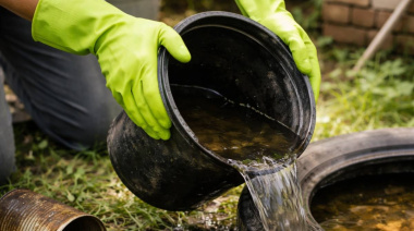 Piden reforzar las tareas de descacharrado La Plata para evitar la reproducción de mosquitos