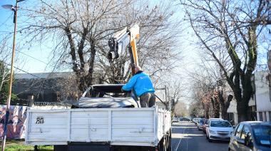 Programa Municipal de Remoción y Compactación de Vehículos Quemados y Abandonados en La Plata: cómo funciona